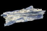 Vibrant Blue Kyanite Crystal Cluster - Brazil #97971-1